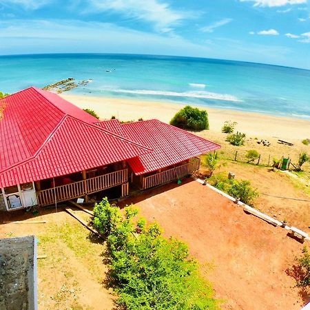 تريكونامالاي Jungle Bay Resort المظهر الخارجي الصورة